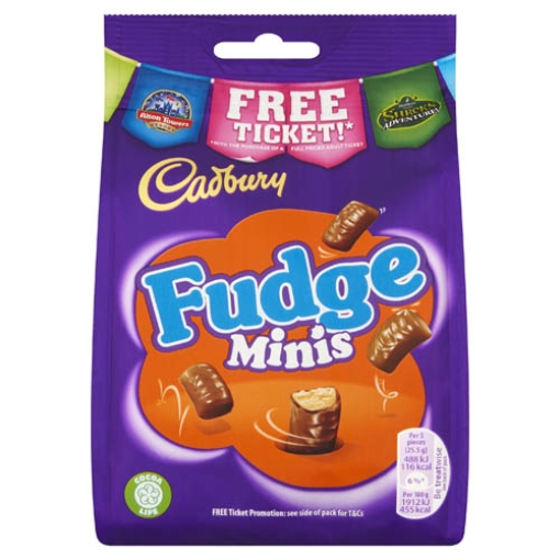 Picture of  Bags Fudge Minis 120g x10