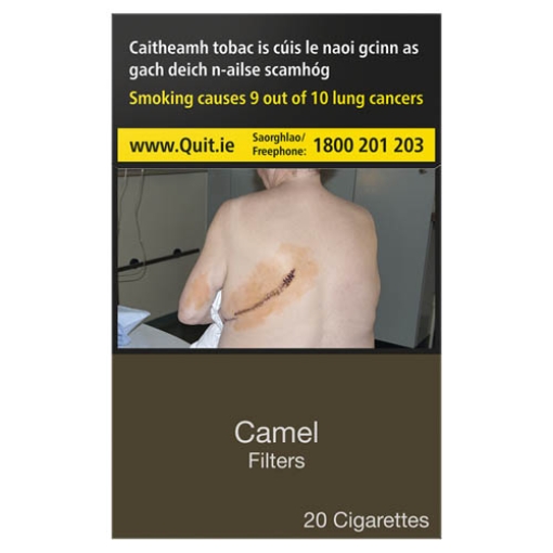 Picture of Camel Blue 20's x10