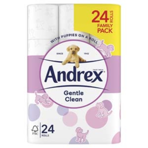 Picture of Toilet Roll Andrex Gentle Clean 24pk x1